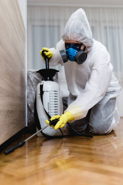 Best Bed Bug Extermination  in Aliso Viejo, CA